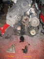 Corsa picture